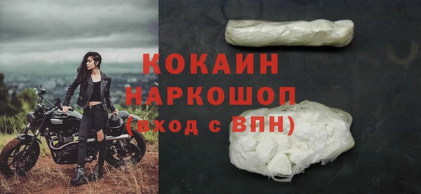 амф Бородино