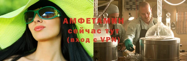 амф Бородино