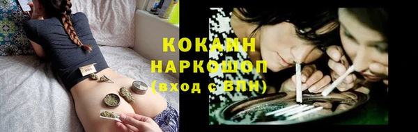 амф Бородино