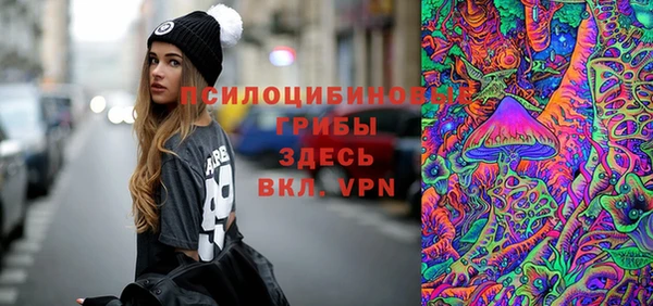 амф Бородино