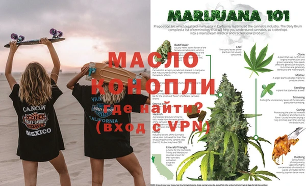 амф Бородино