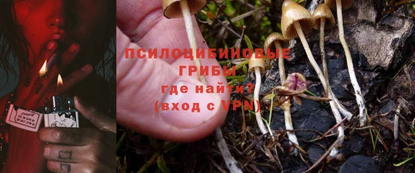 амф Бородино