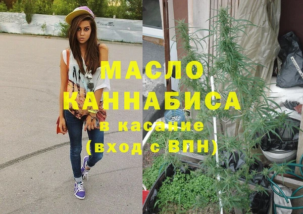 амф Бородино